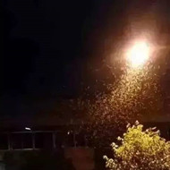 白蟻危害大，4-6月份進(jìn)入其活躍期 防治白蟻不容忽視！
